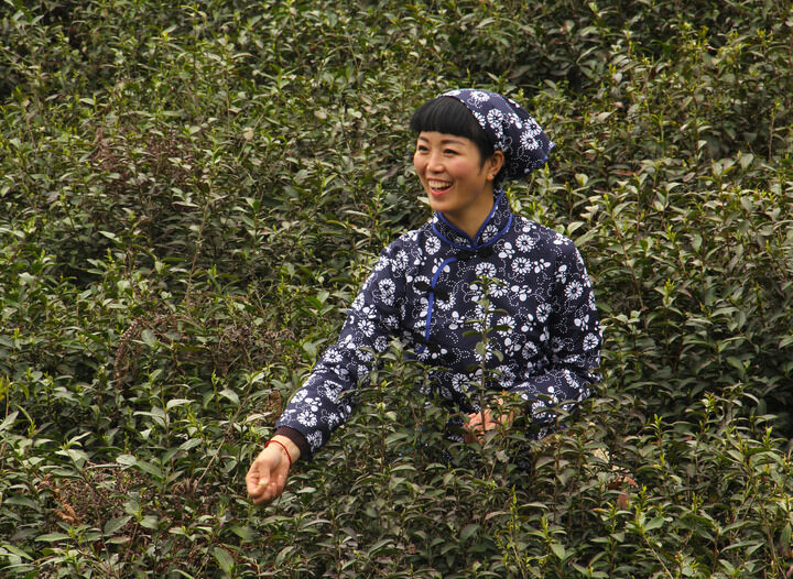 推荐2